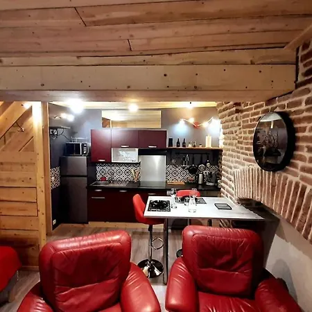 Studio Et Spa Privatif Le Puits De La Grace Albi Exterior photo