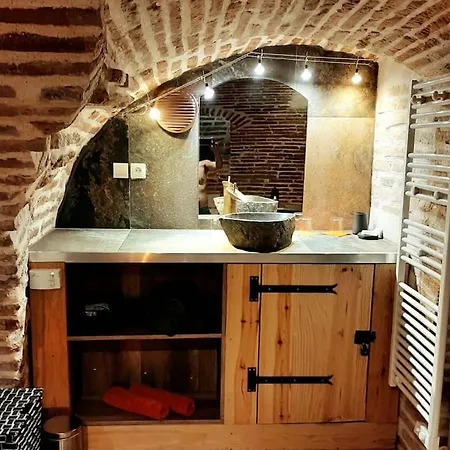 Studio Et Spa Privatif Le Puits De La Grace Albi Exterior photo