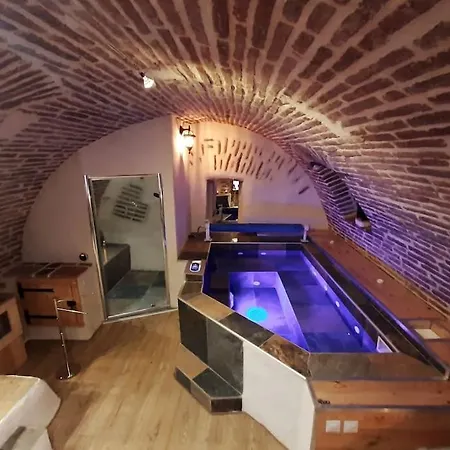 Studio Et Spa Privatif Le Puits De La Grace Albi Exterior photo