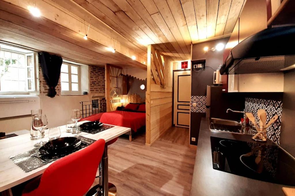 Apartment Et Privatif Le Puits De La Grace Albi